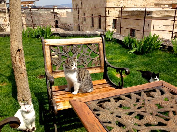 Holidays Sunshine Kale Konak Cave Hotel Cappadocia 14