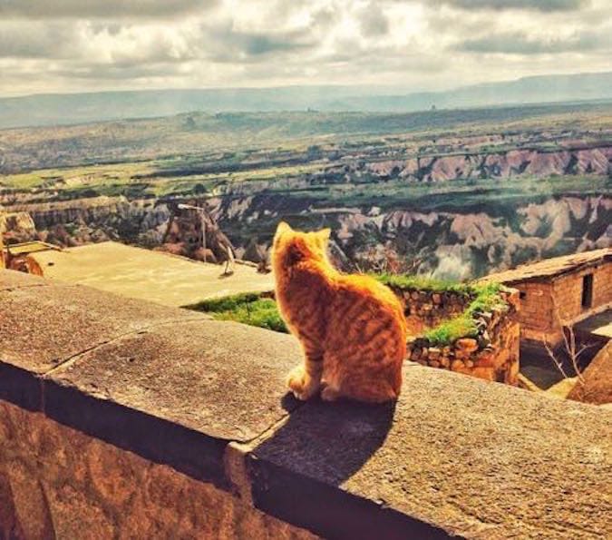 Holidays Sunshine Kale Konak Cave Hotel Cappadocia feat
