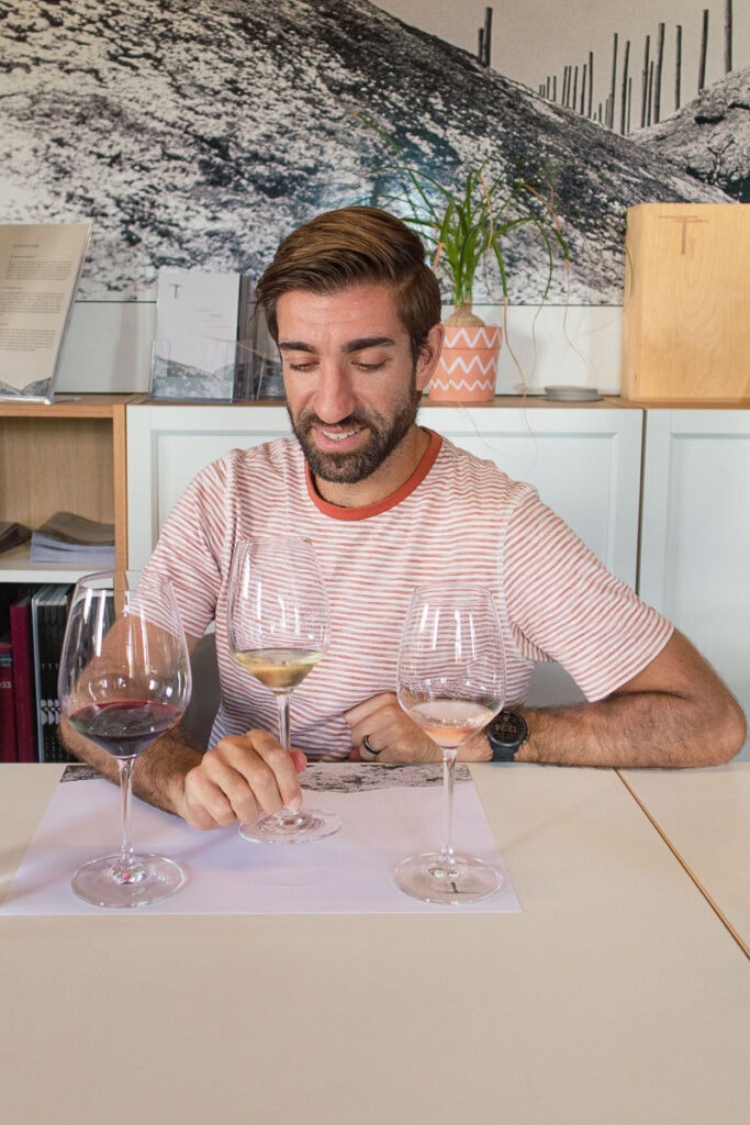 Wine tasting in Tinos