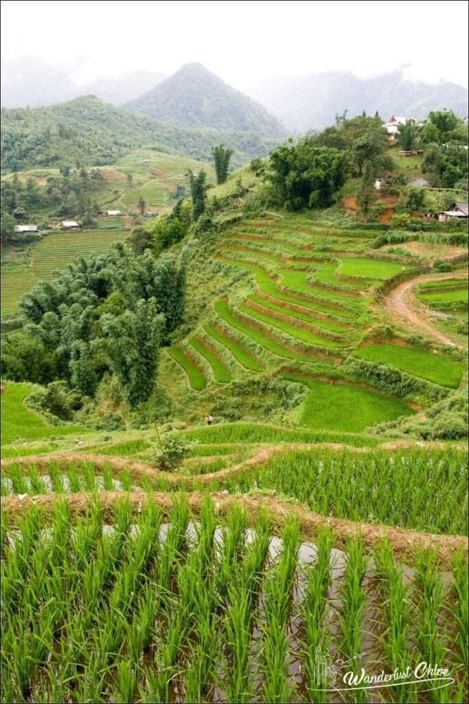 3 weeks in vietnam