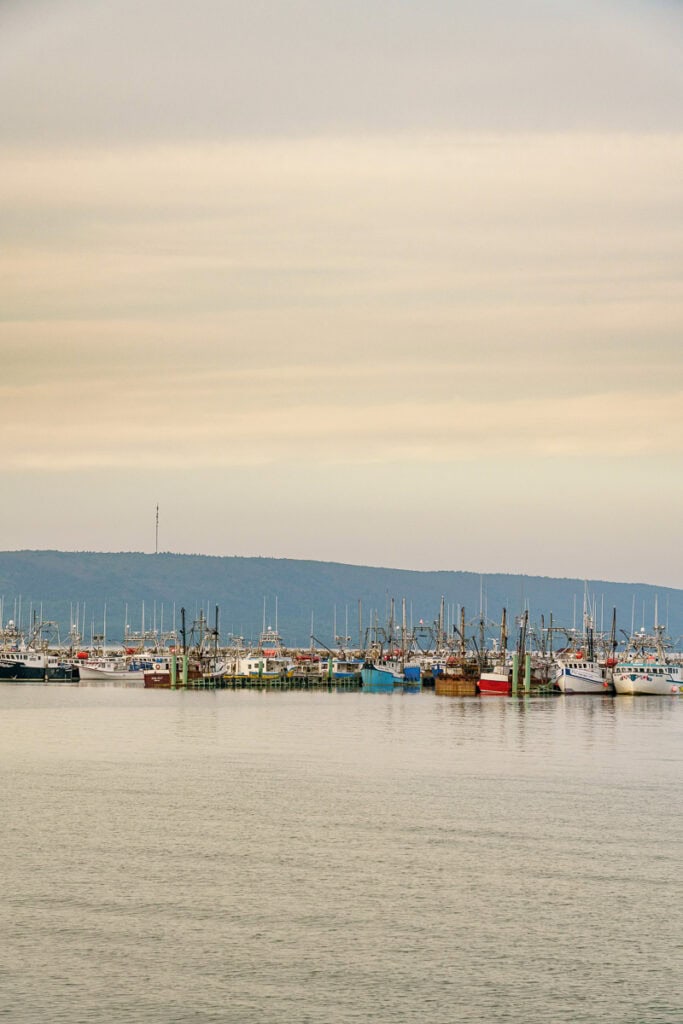 Digby Harbour