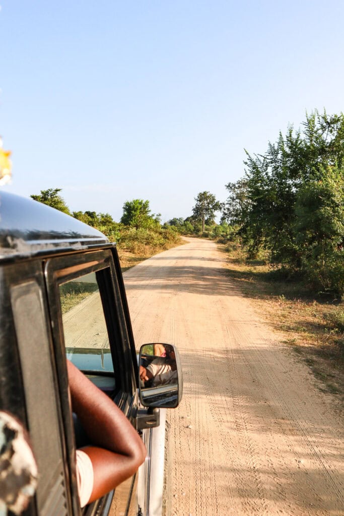 jeep safari sri lanka
