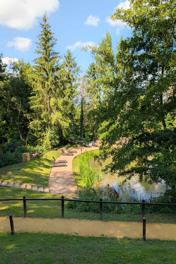 pond at the fish