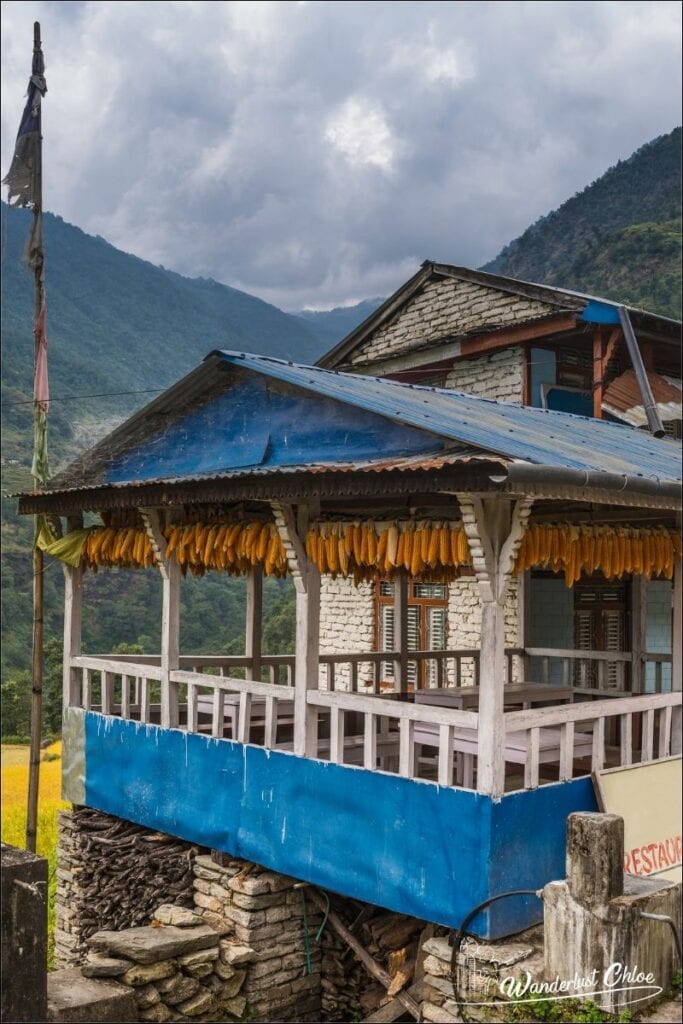 teahouse annapurna